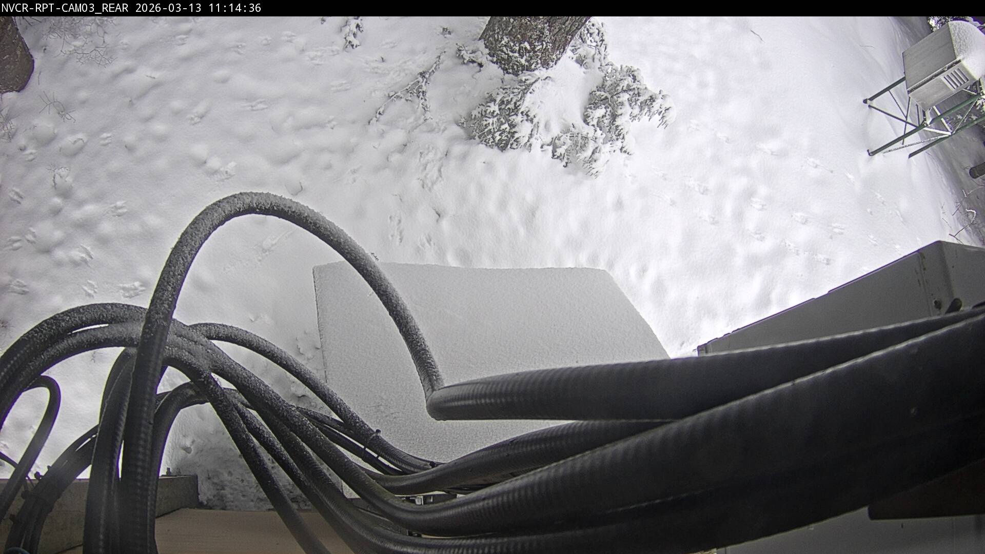 Web Cam History Image - 874