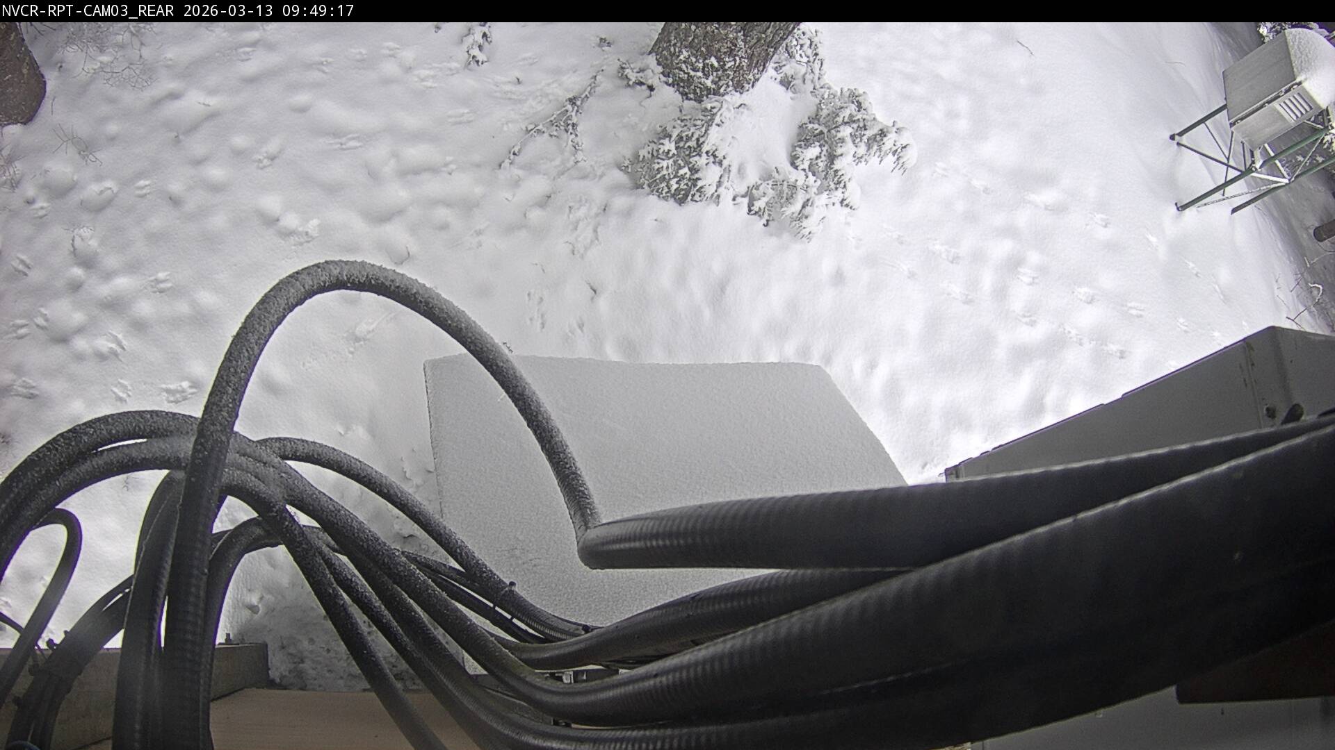 Web Cam History Image - 875