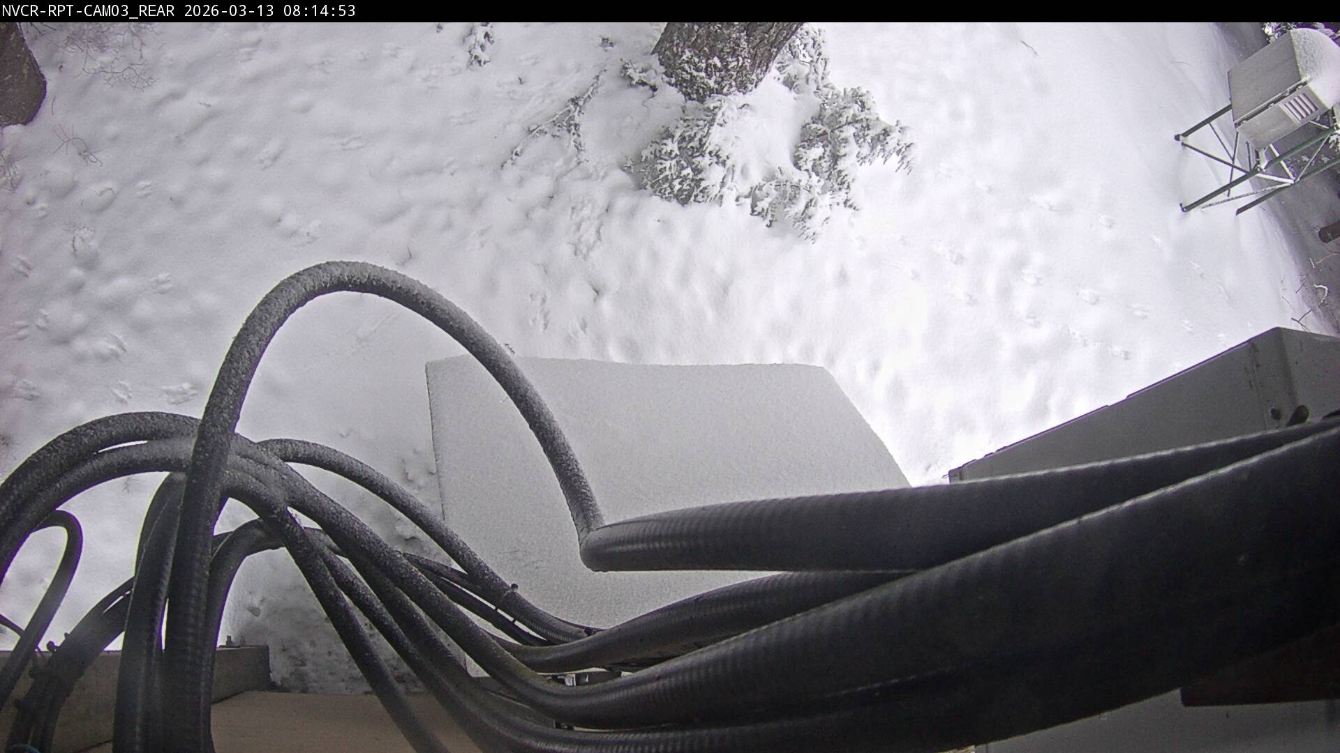 Web Cam History Image - 876