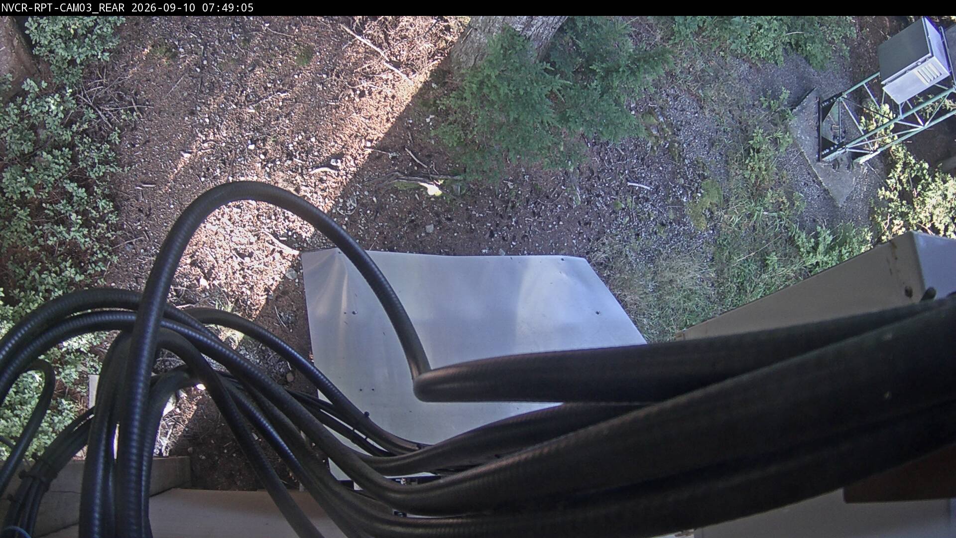 Web Cam History Image - 877