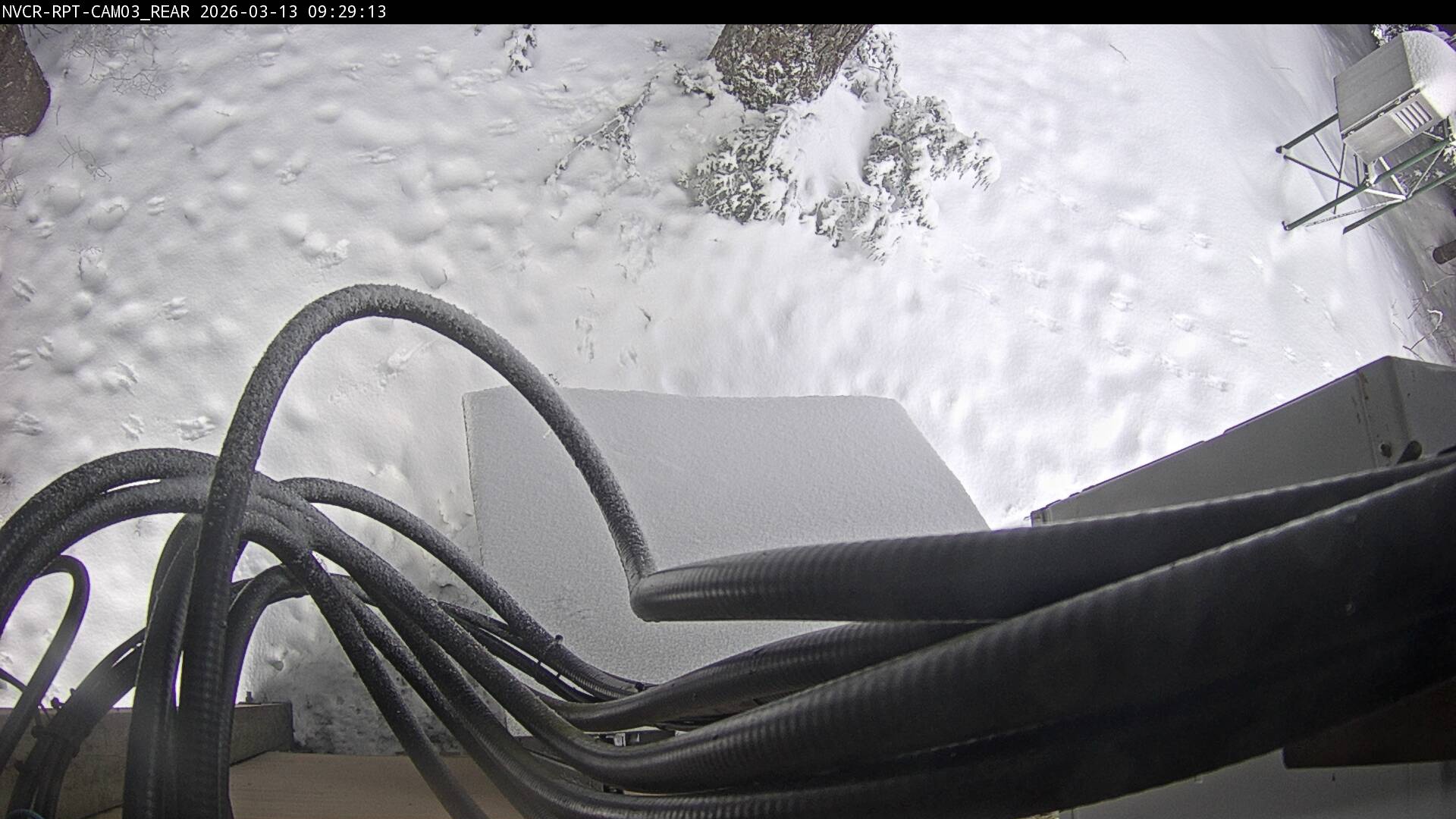 Web Cam History Image - 879