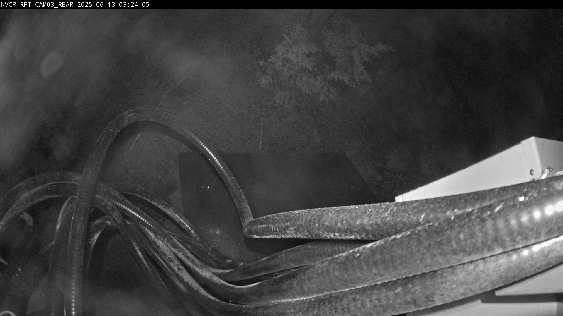 Web Cam History Image - 880