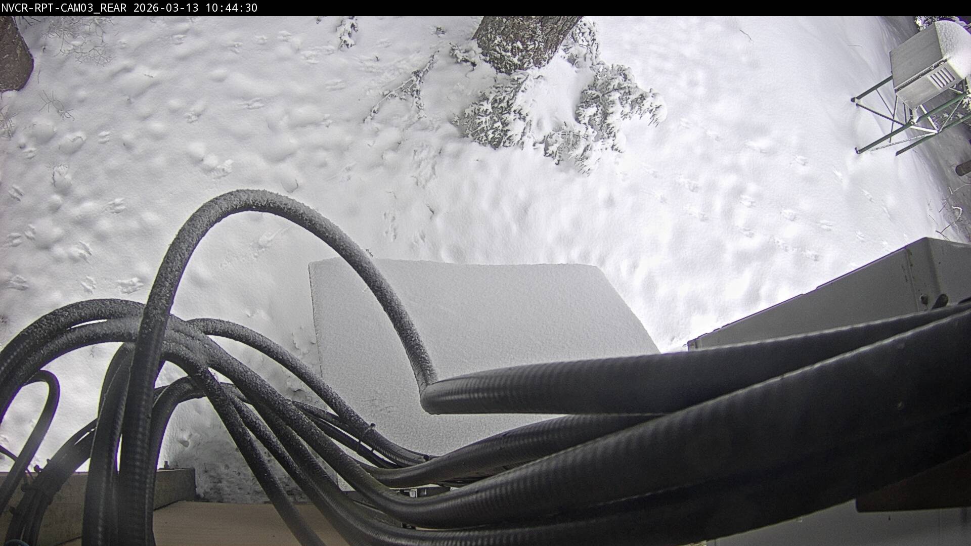 Web Cam History Image - 880