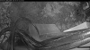 Web Cam Image - Fri, 06/05/2026 7:34pm PDT