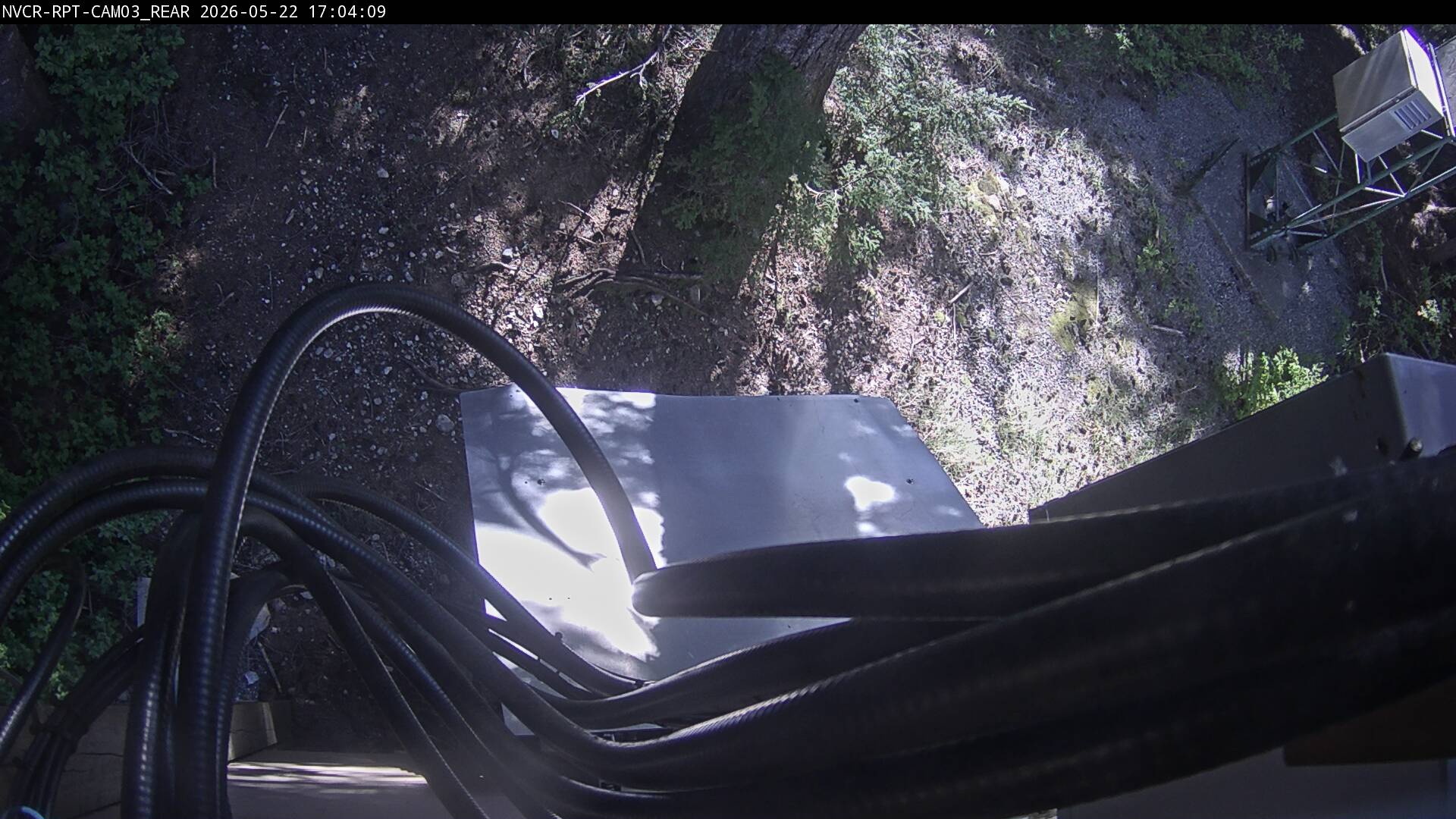 Web Cam History Image - 881