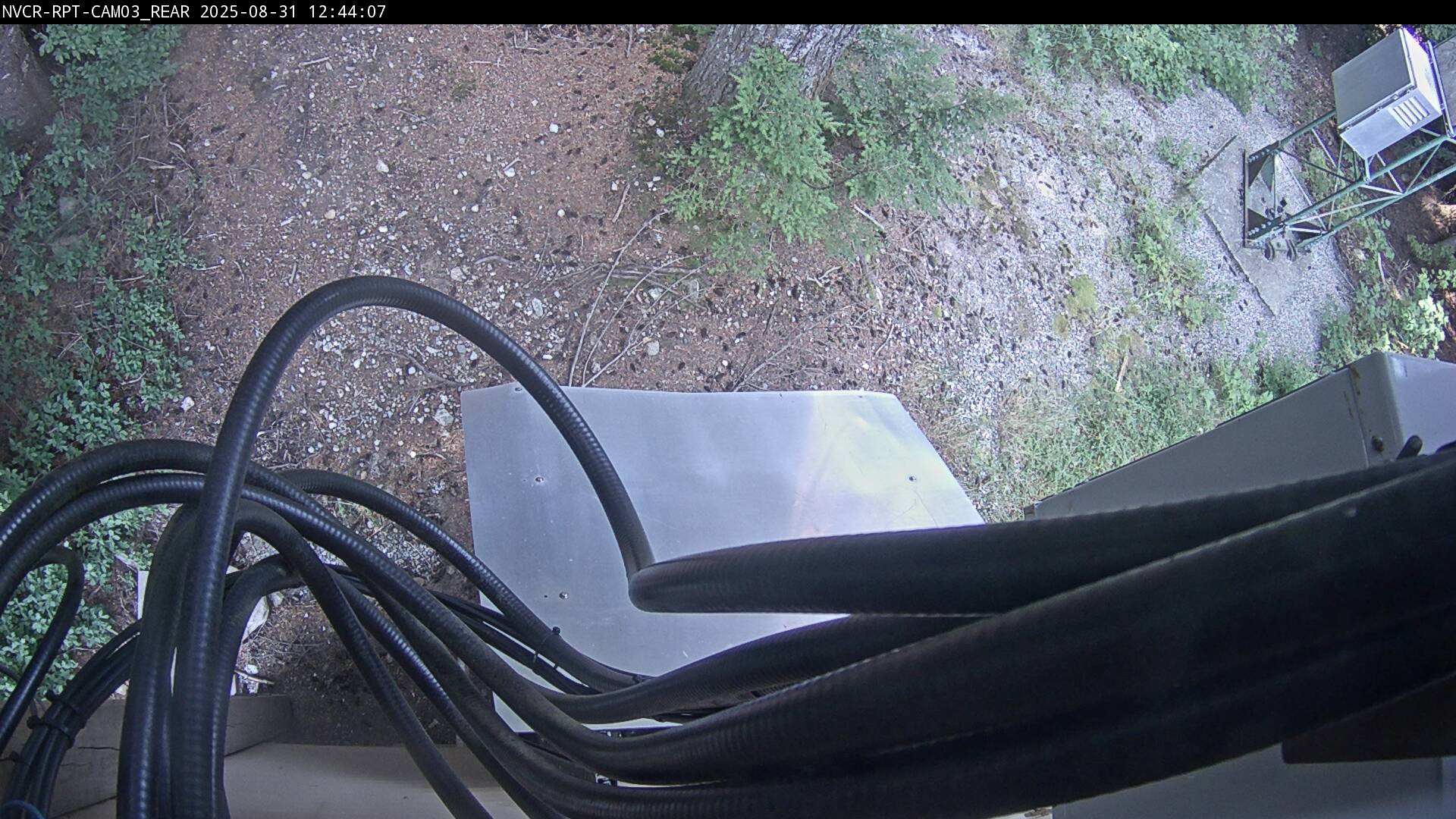 Web Cam History Image - 888