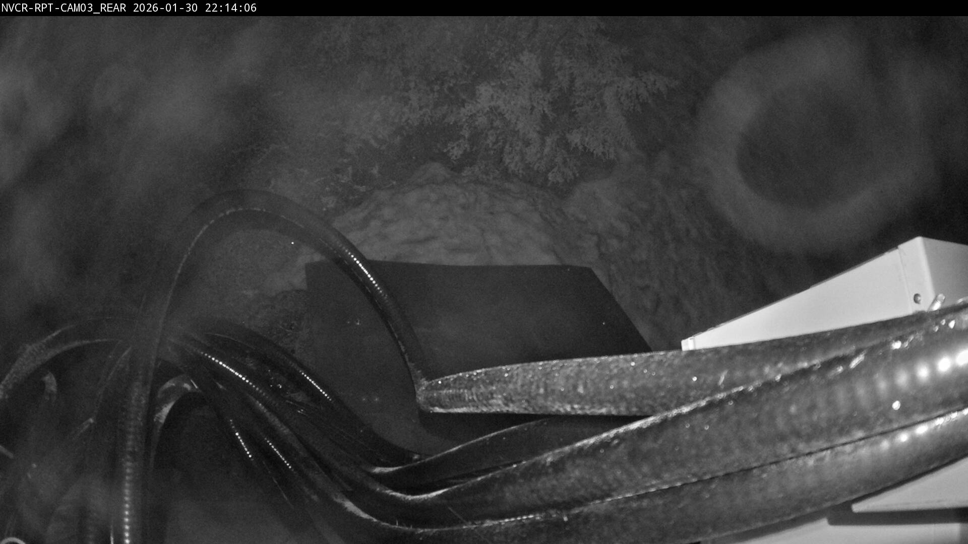 Web Cam History Image - 888