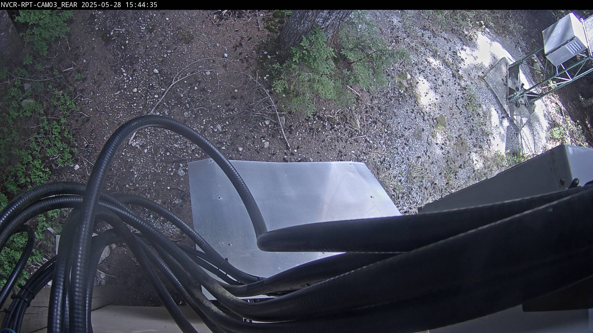 Web Cam History Image - 889
