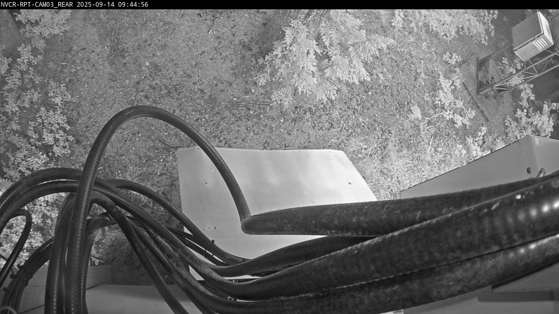 Web Cam History Image - 889