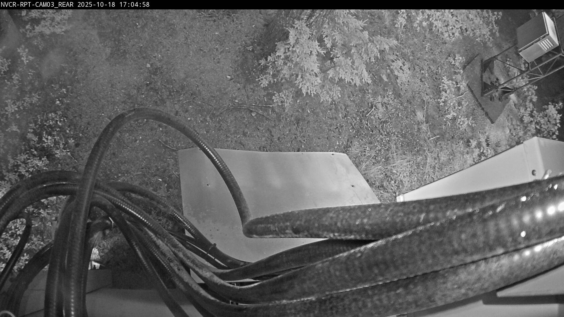 Web Cam History Image - 890