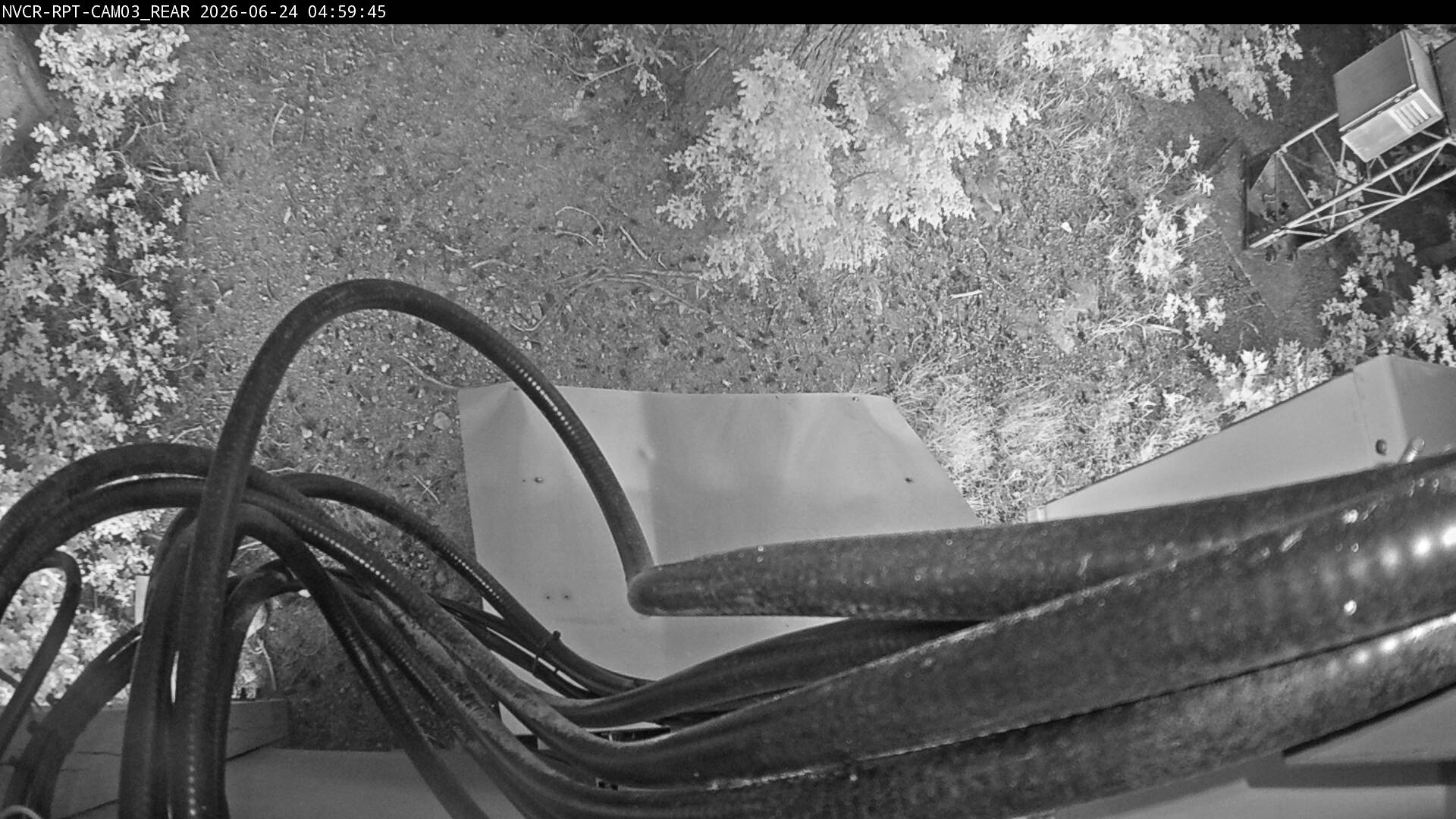 Web Cam History Image - 890