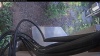 Web Cam Image - Tue, 07/07/2026 4:44am PDT