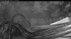 Web Cam Image - Mon, 10/12/2026 6:34am PDT