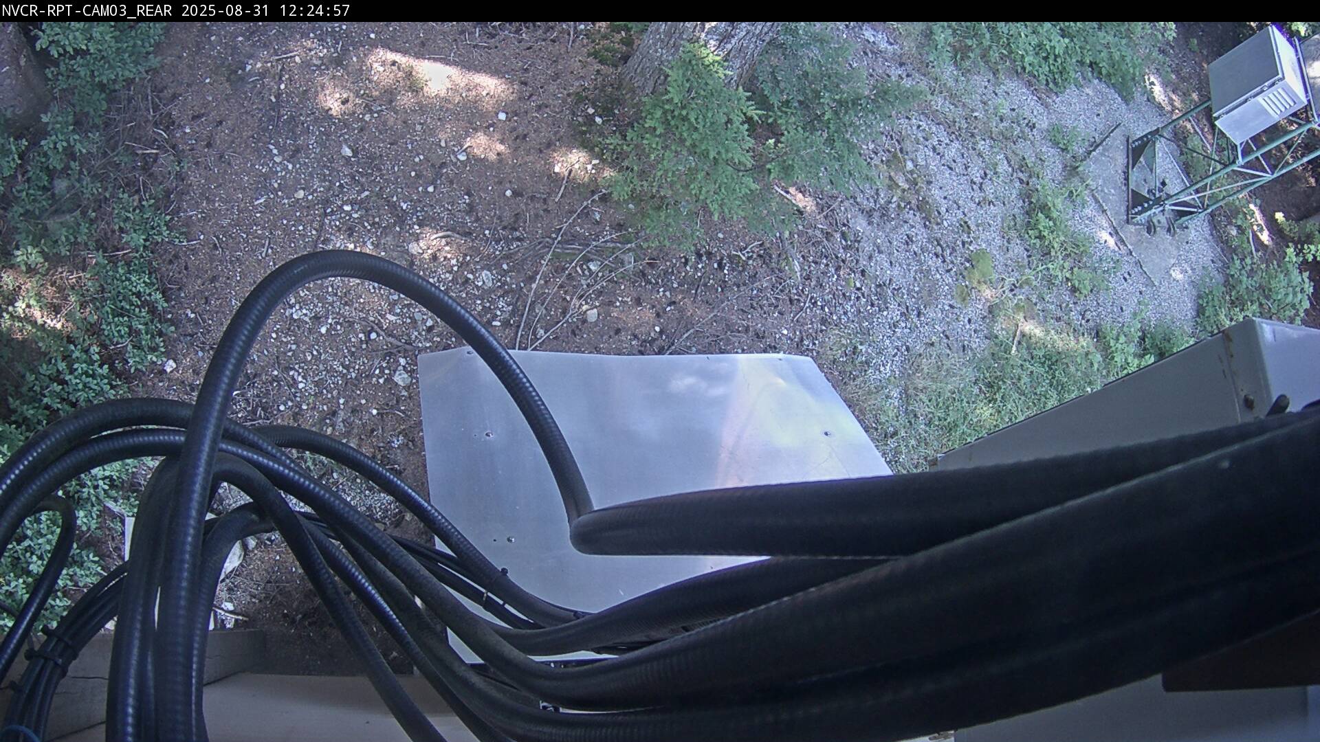 Web Cam History Image - 891