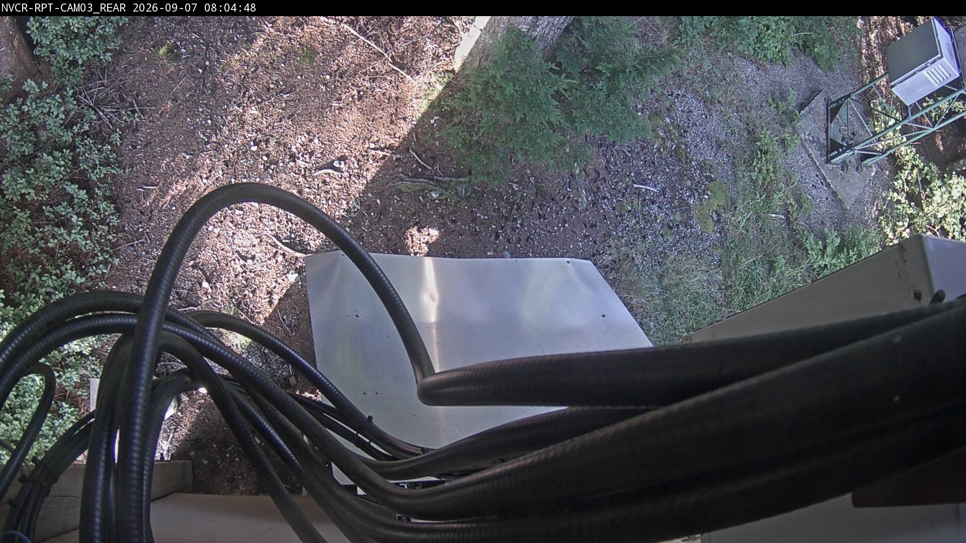 Web Cam History Image - 891
