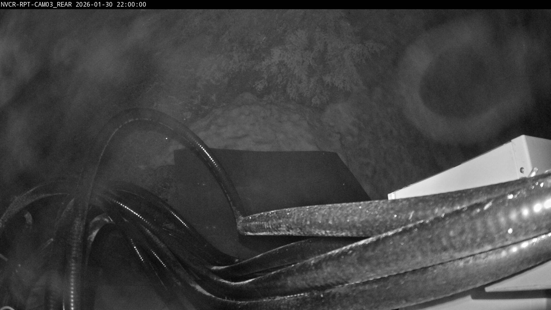 Web Cam History Image - 892