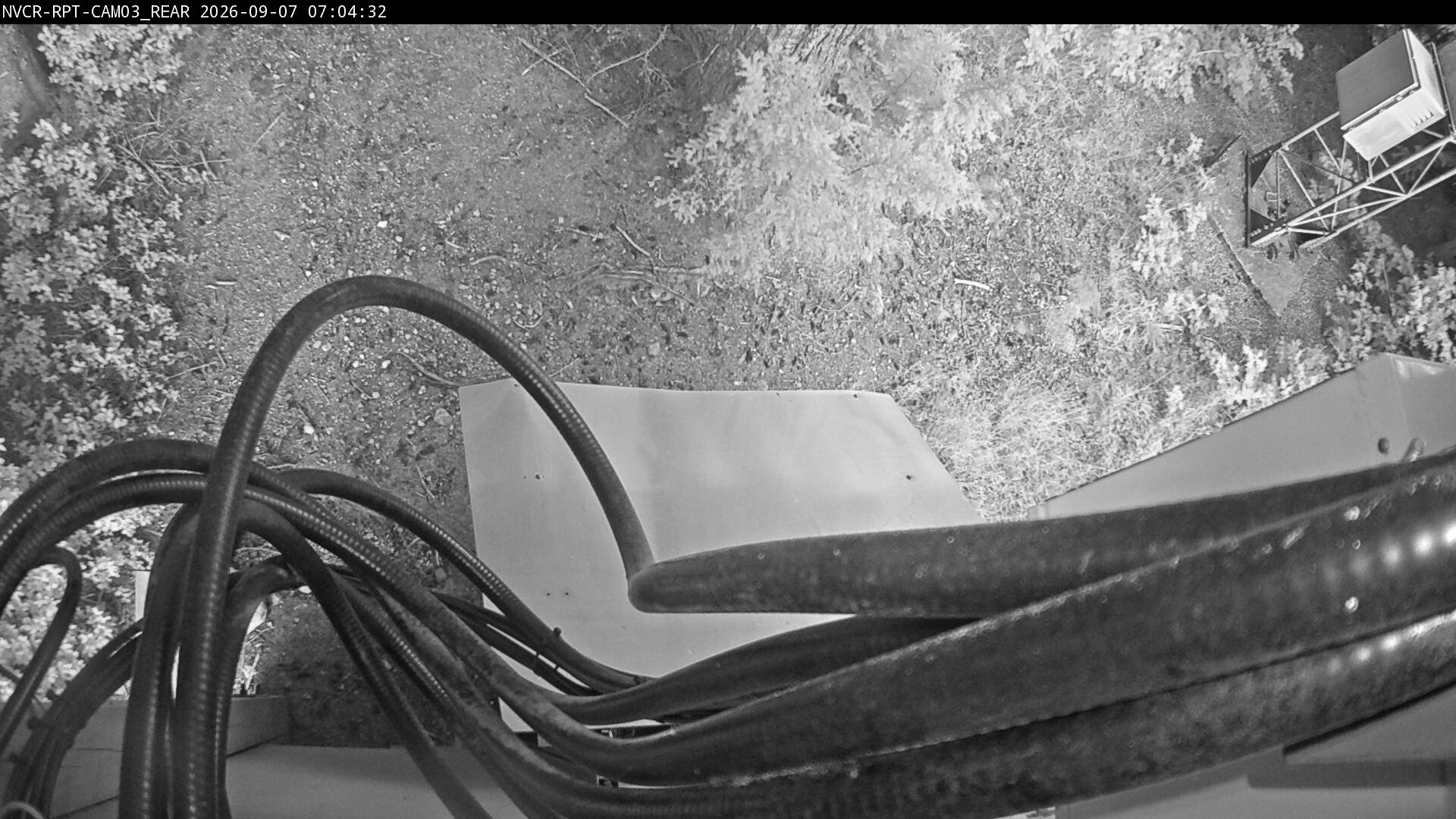 Web Cam History Image - 892