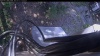 Web Cam Image - Mon, 05/11/2026 7:49am PDT