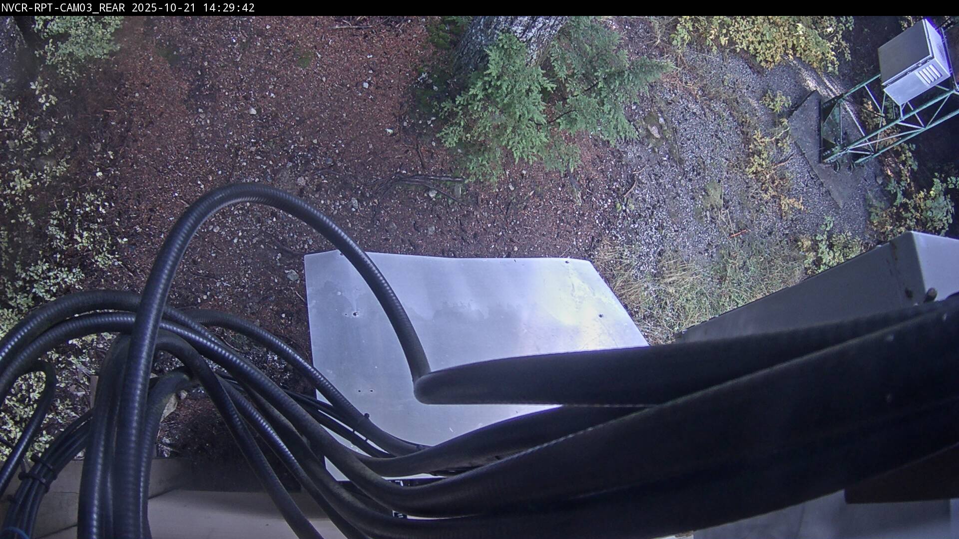 Web Cam History Image - 894