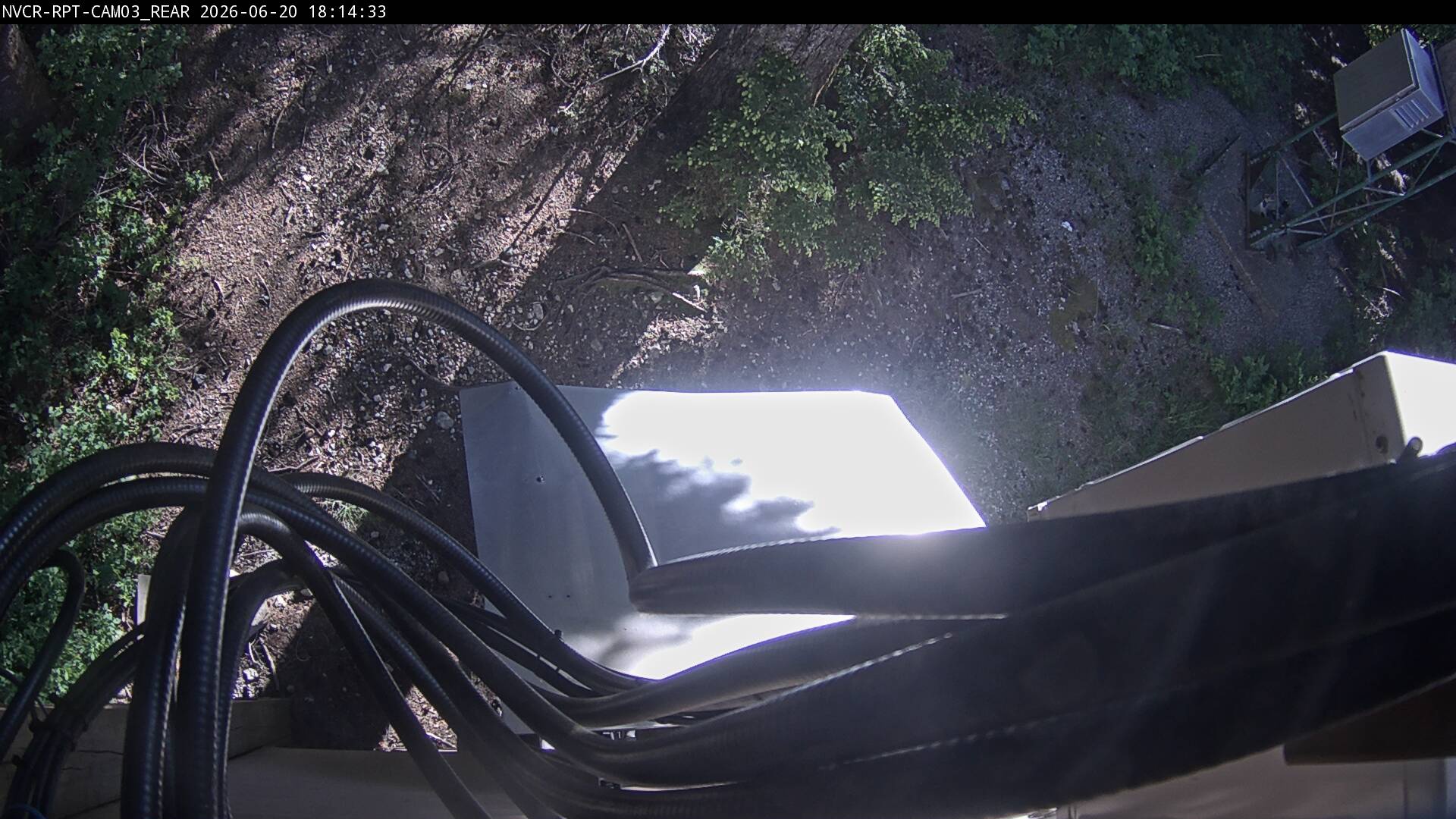 Web Cam History Image - 894