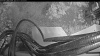 Web Cam Image - Sat, 10/11/2025 4:09am PDT