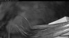 Web Cam Image - Sat, 04/26/2025 2:04am PDT