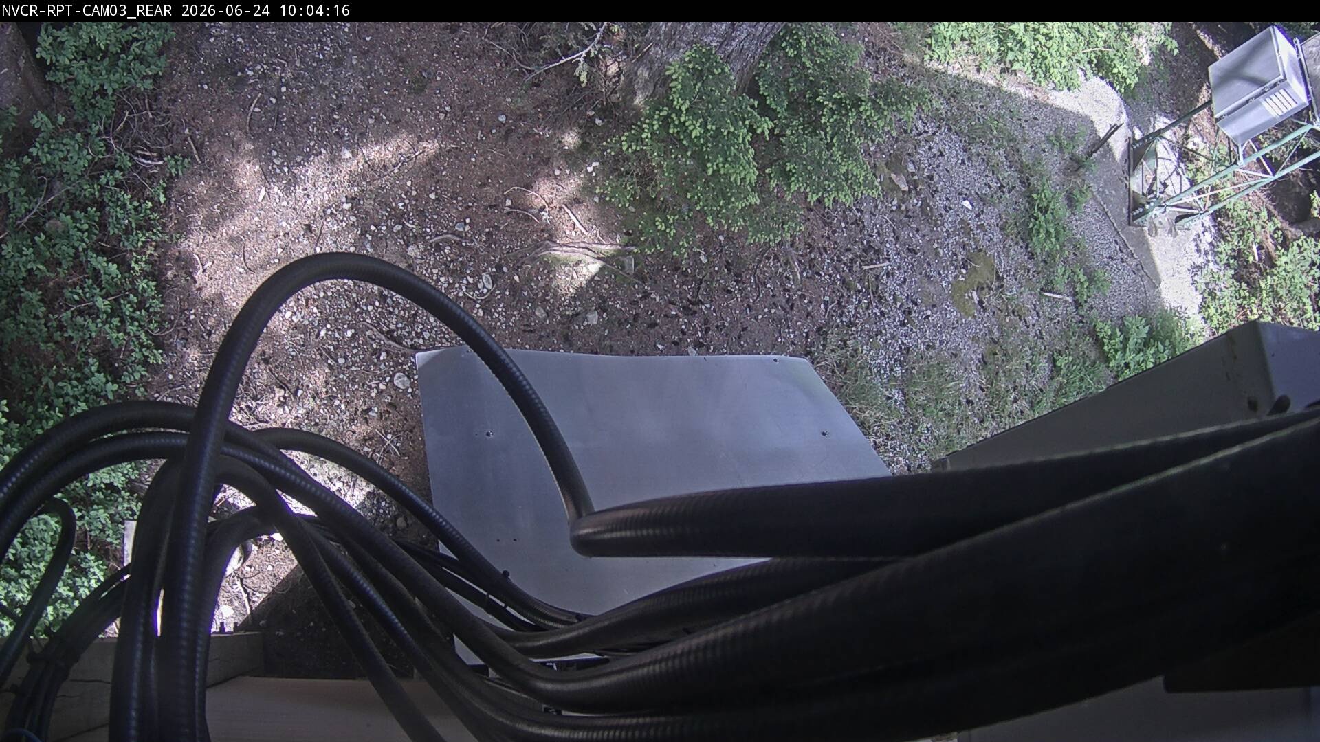 Web Cam History Image - 899
