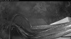 Web Cam Image - Fri, 06/26/2026 2:19am PDT