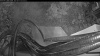 Web Cam Image - Fri, 08/14/2026 8:04pm PDT
