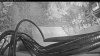 Web Cam Image - Mon, 10/05/2026 6:39am PDT