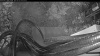 Web Cam Image - Thu, 05/28/2026 4:19am PDT