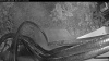 Web Cam Image - Sat, 07/11/2026 4:04am PDT