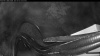 Web Cam Image - Sat, 09/26/2026 3:44am PDT