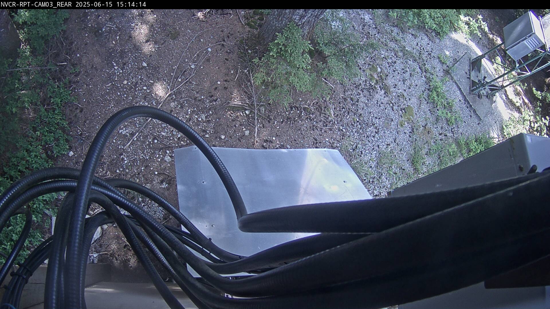 Web Cam History Image - 91
