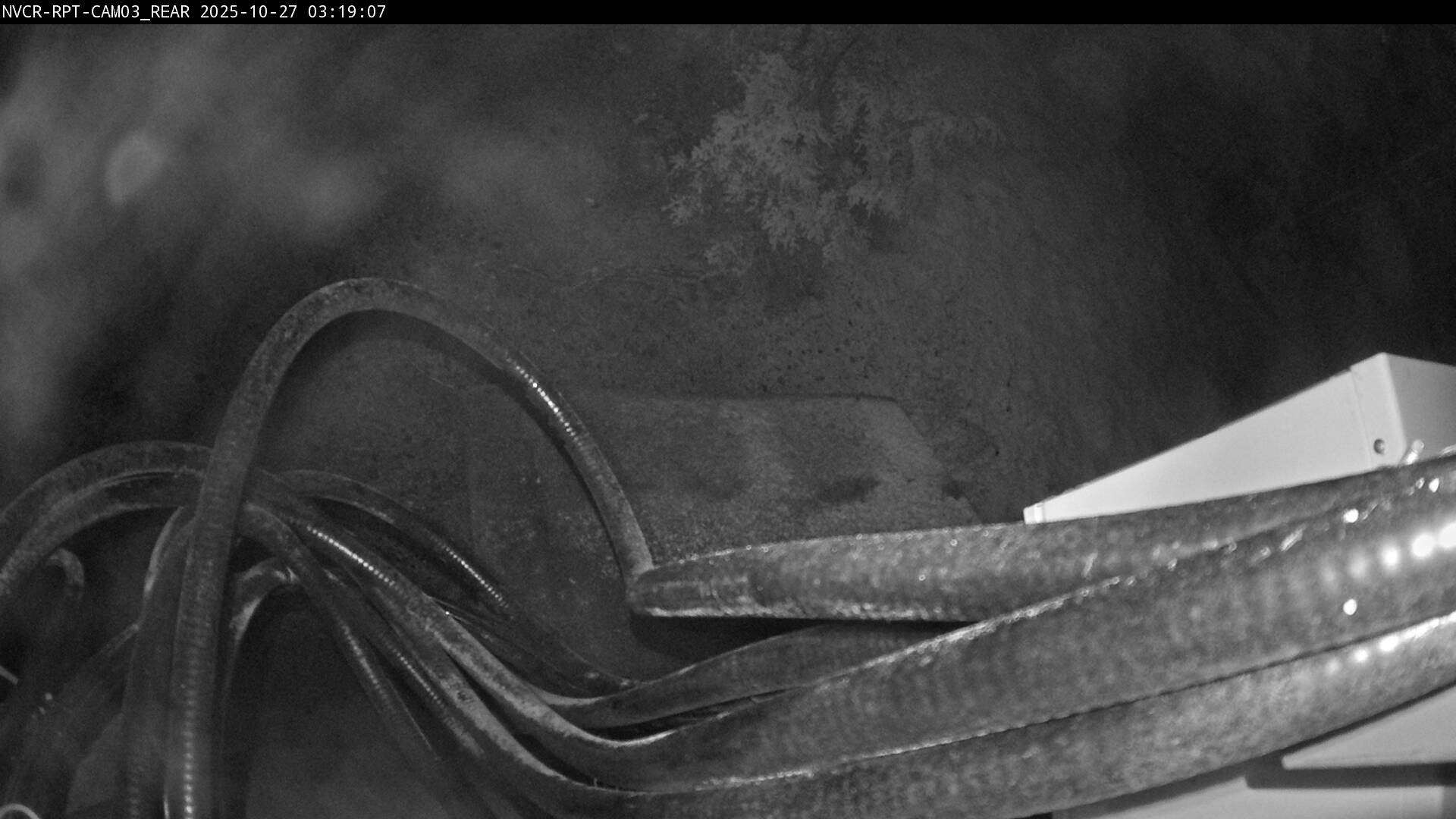 Web Cam History Image - 91