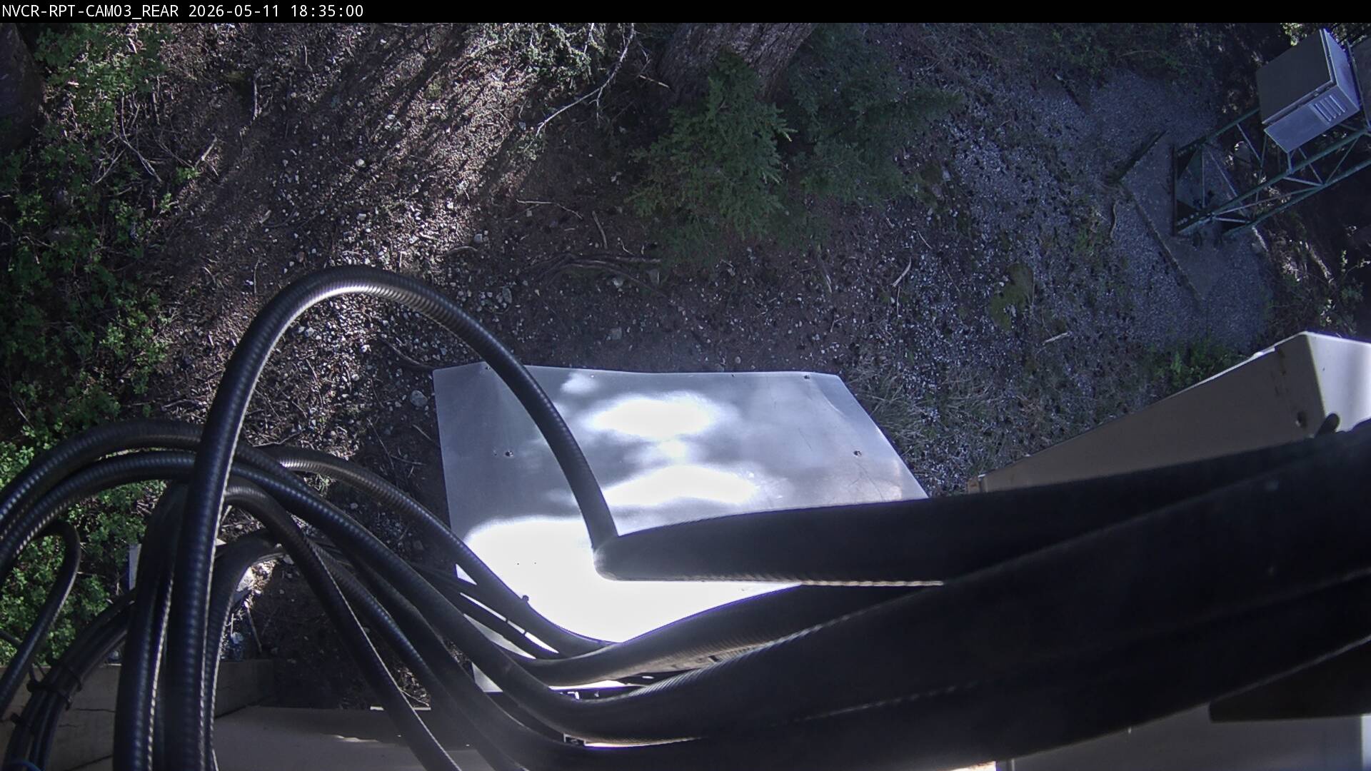 Web Cam History Image - 91