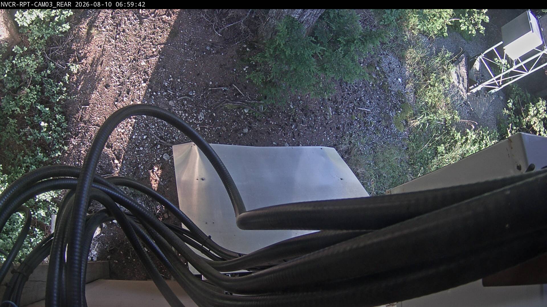 Web Cam History Image - 91