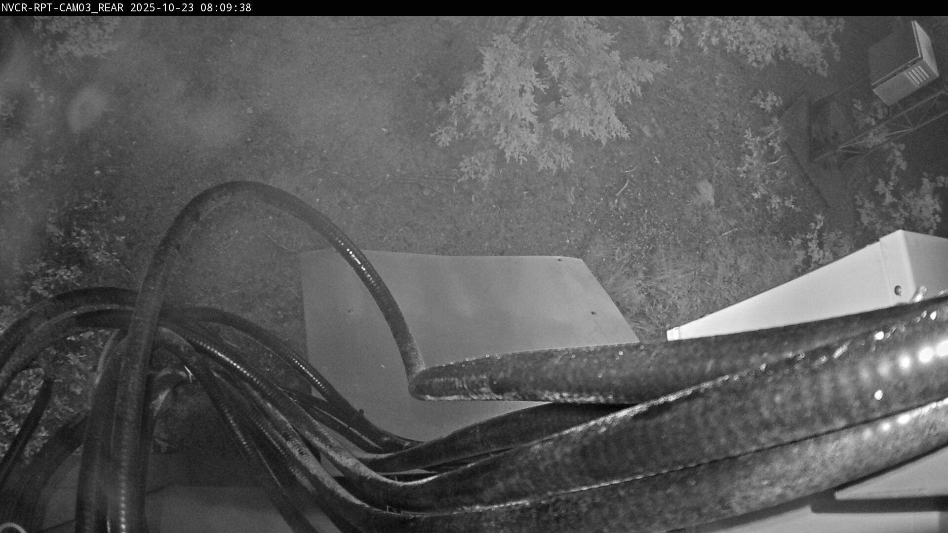 Web Cam History Image - 901