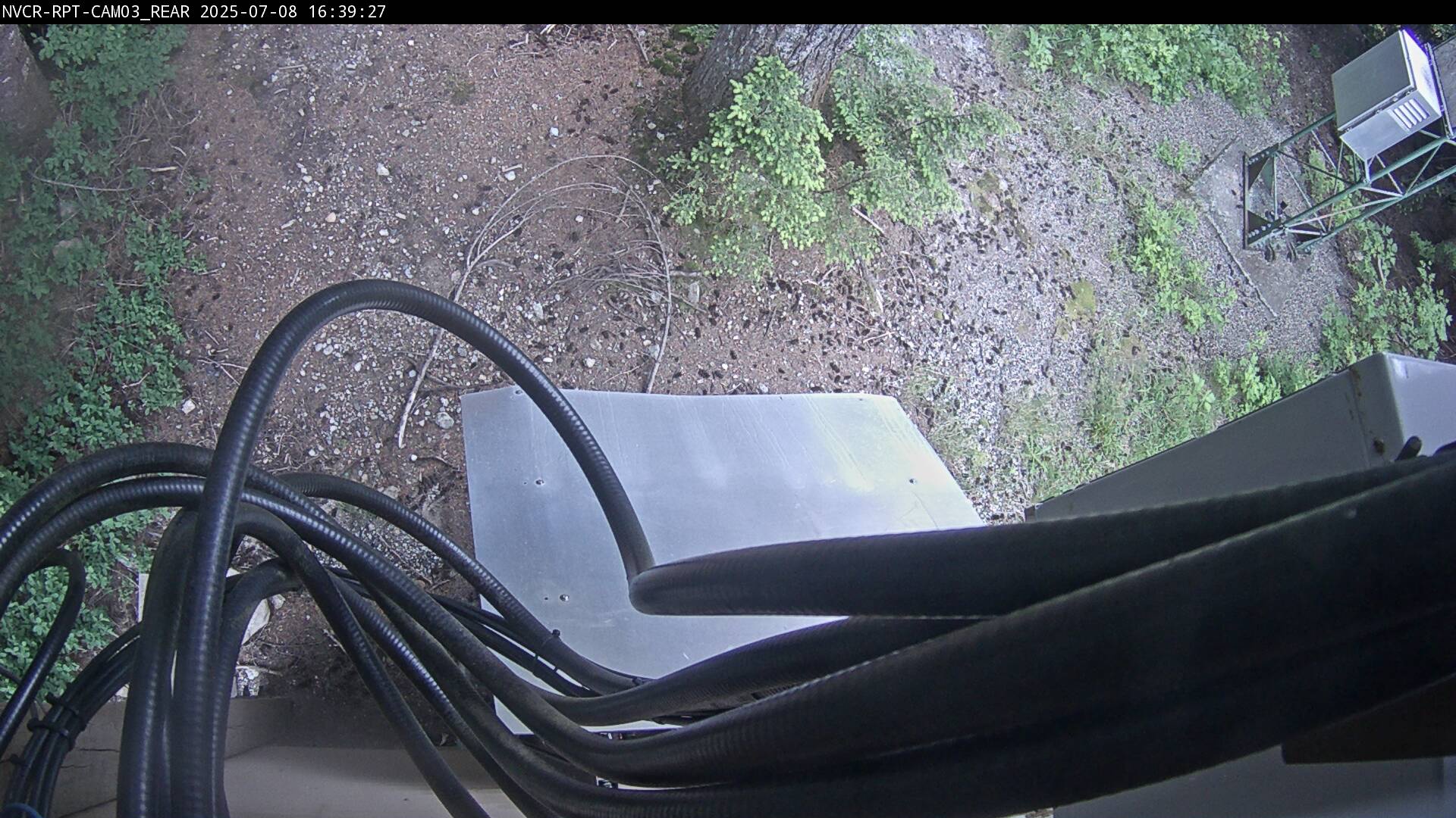 Web Cam History Image - 902