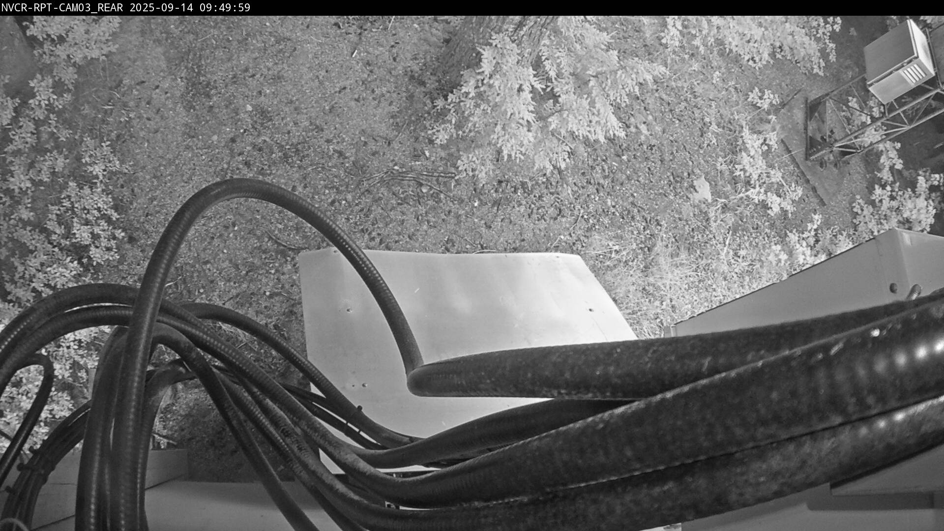 Web Cam History Image - 902