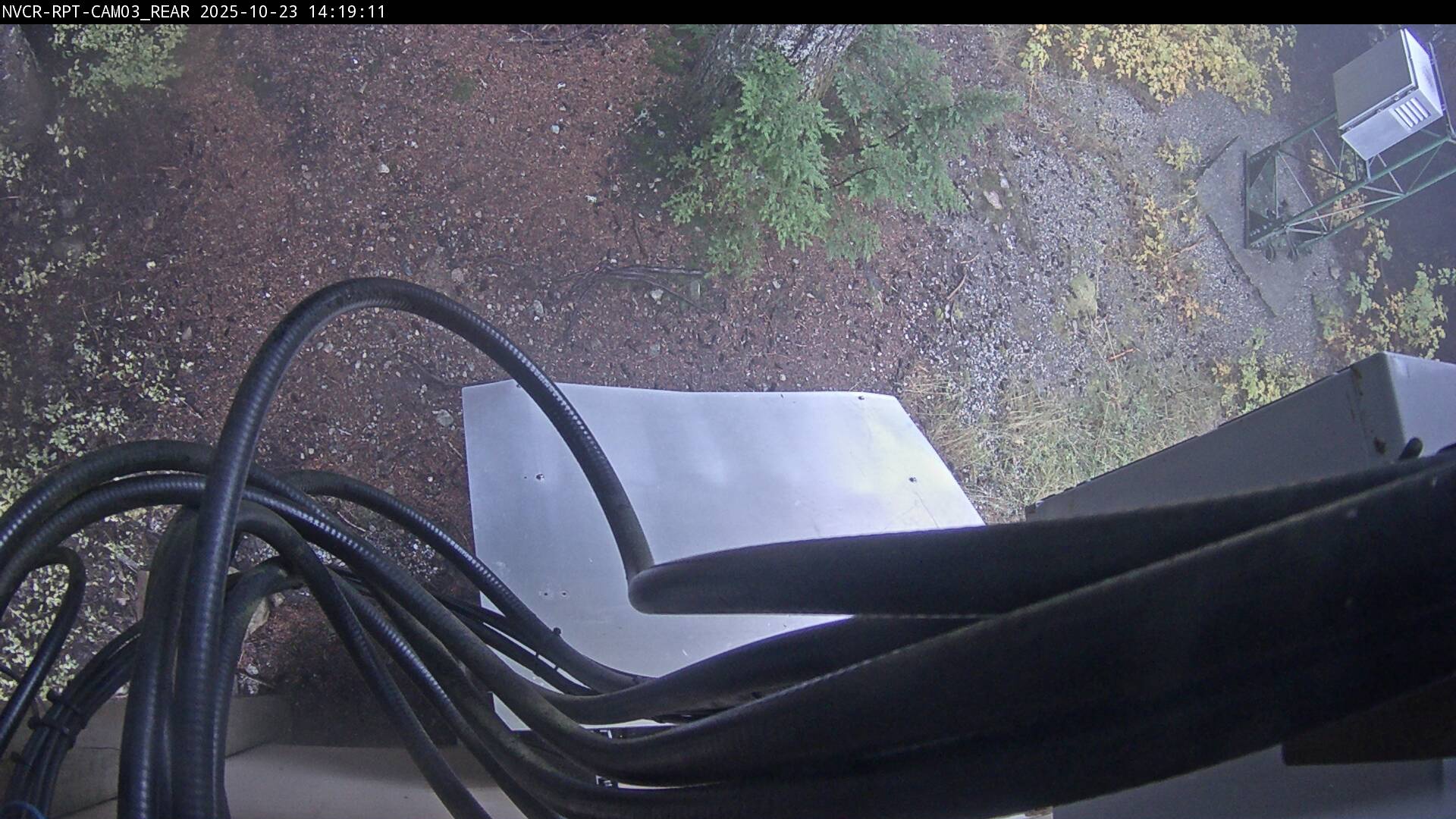 Web Cam History Image - 902