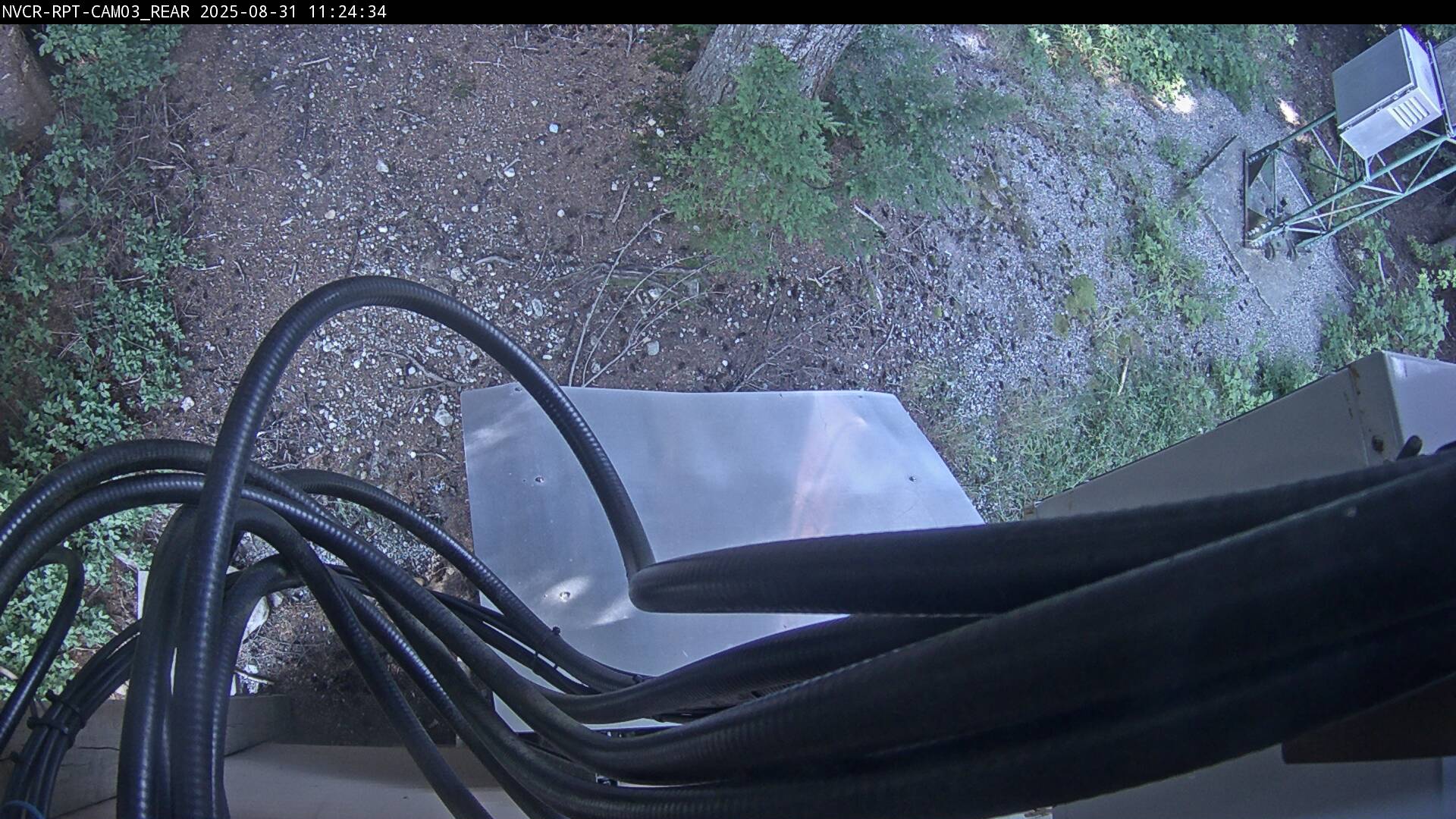 Web Cam History Image - 903