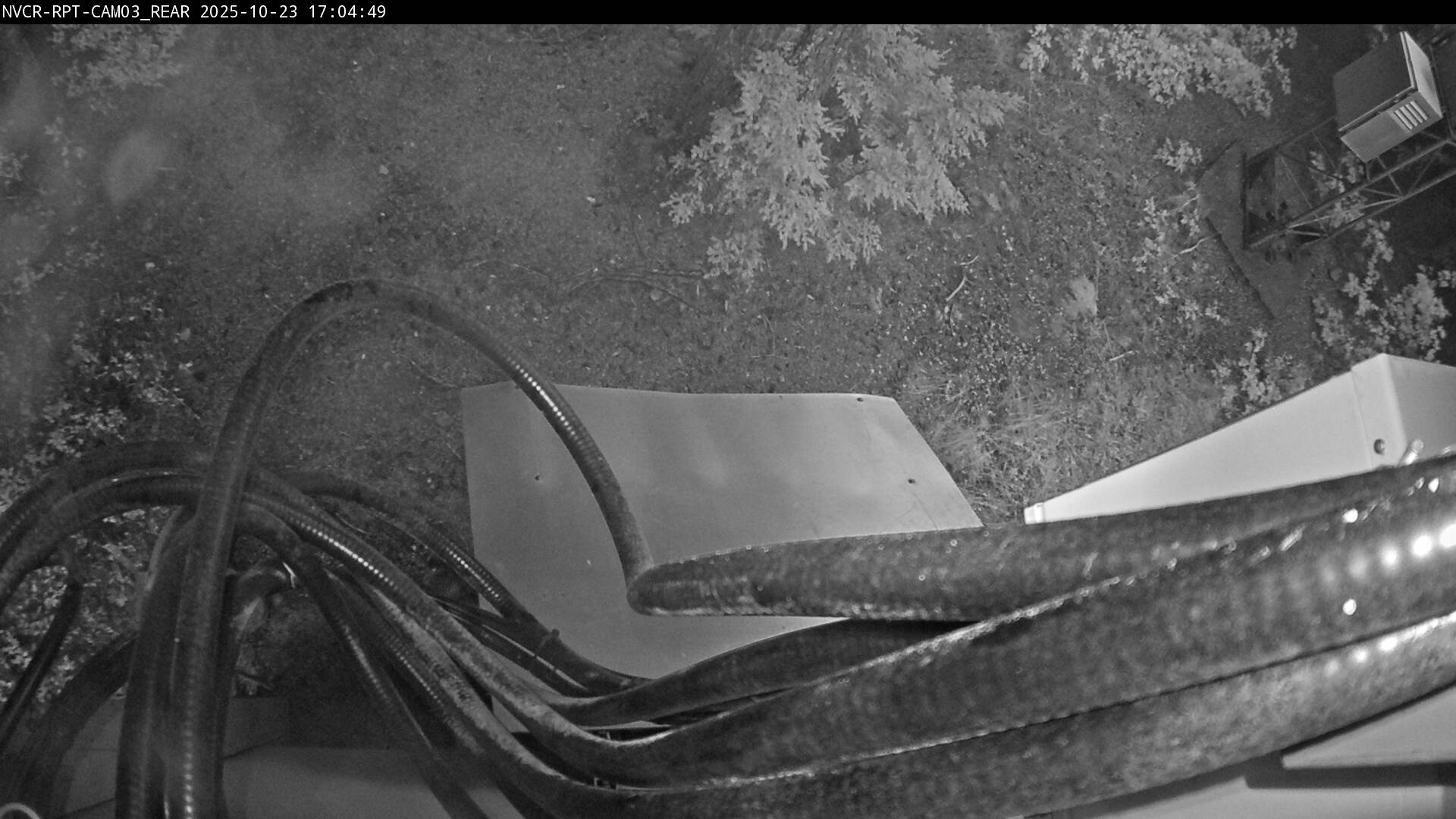 Web Cam History Image - 903