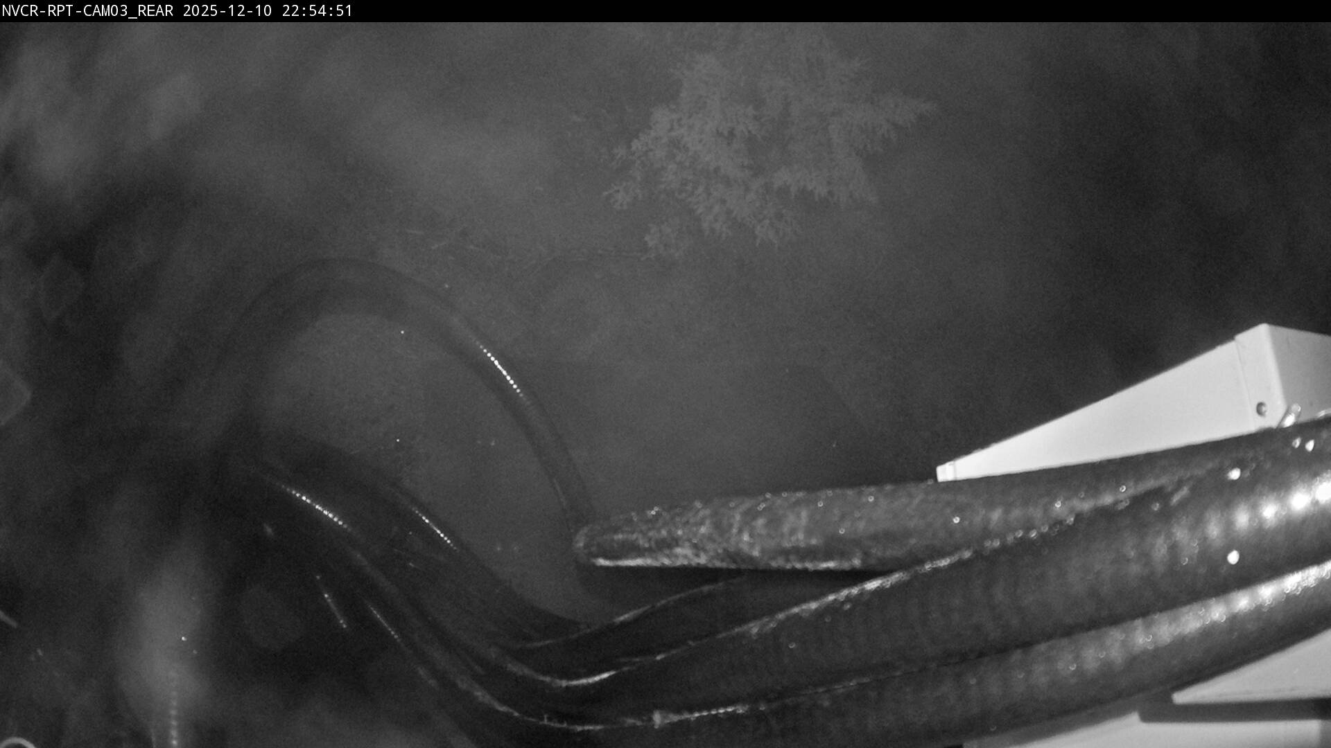 Web Cam History Image - 903