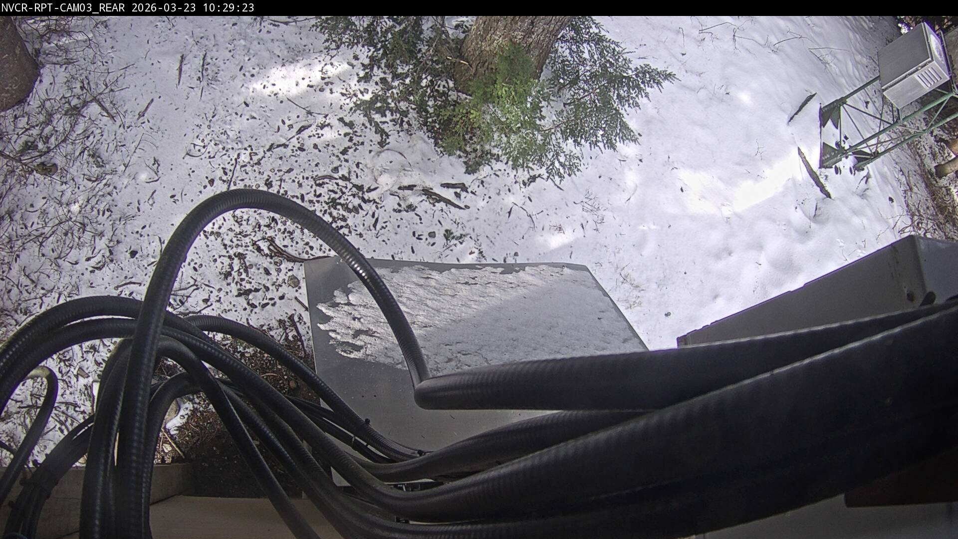 Web Cam History Image - 903