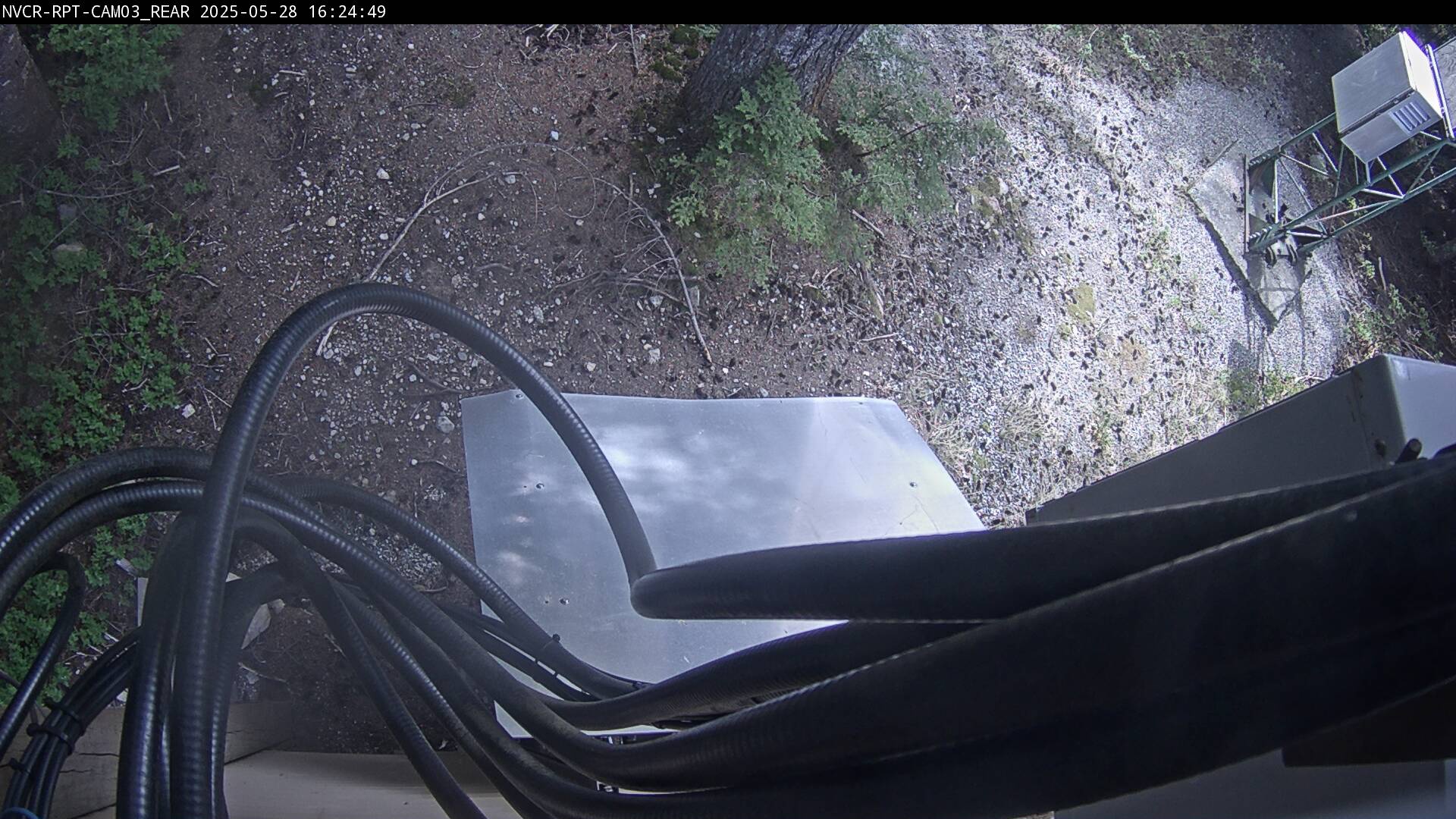 Web Cam History Image - 905