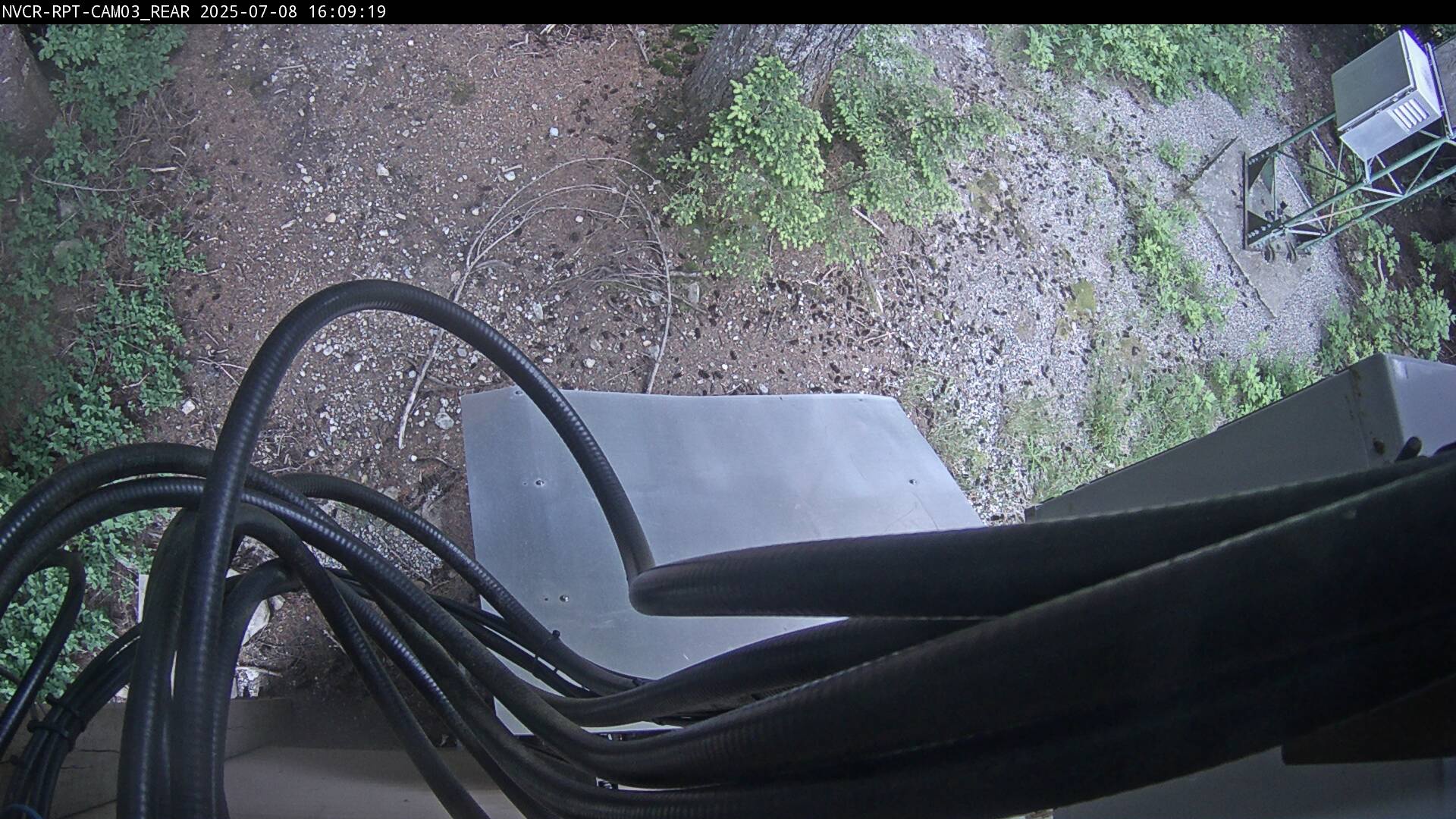 Web Cam History Image - 905