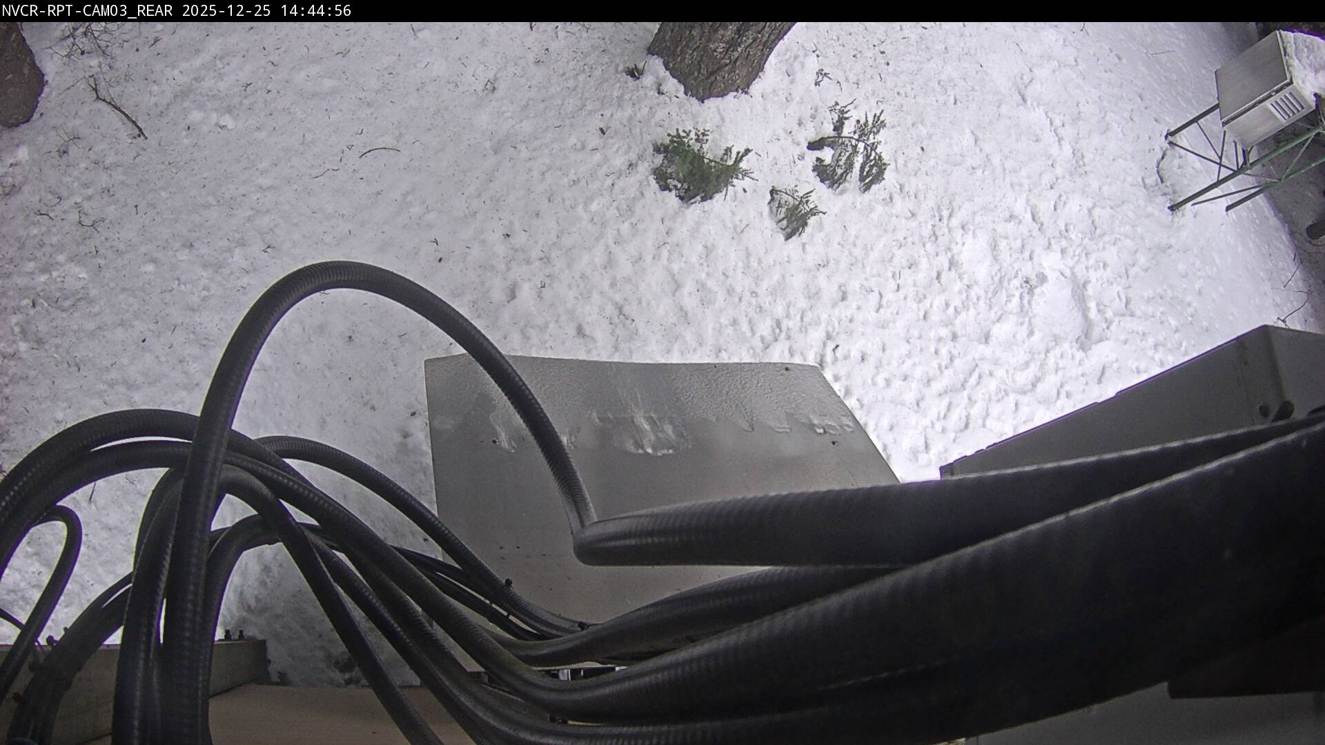 Web Cam History Image - 905