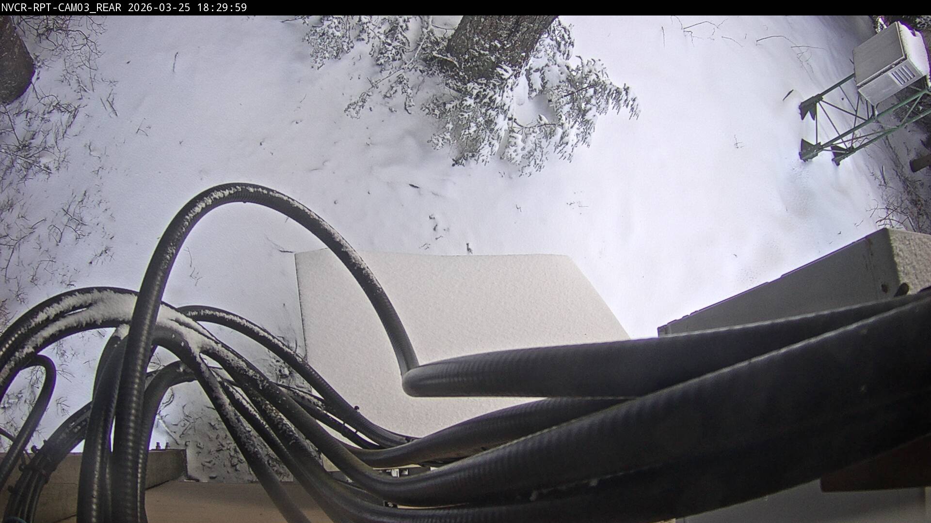 Web Cam History Image - 905