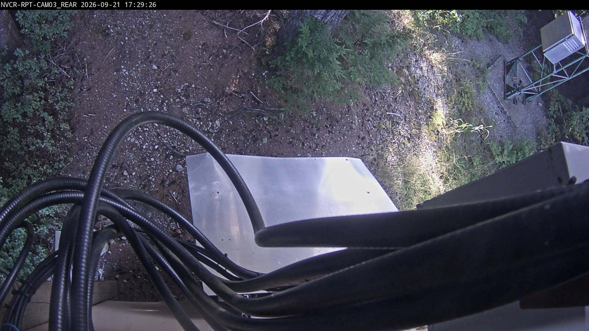 Web Cam History Image - 905